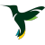 CC-v-25305