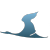 JS-v-15898