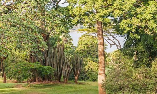 حجز طيران من Dubai إلى Entebbe