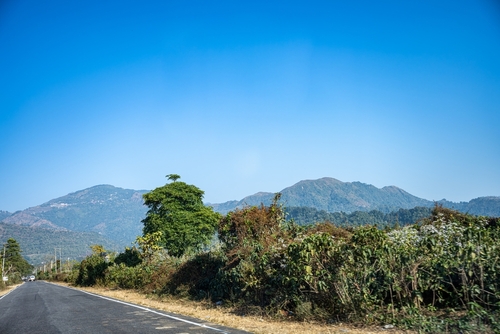 Dubai - Bagdogra